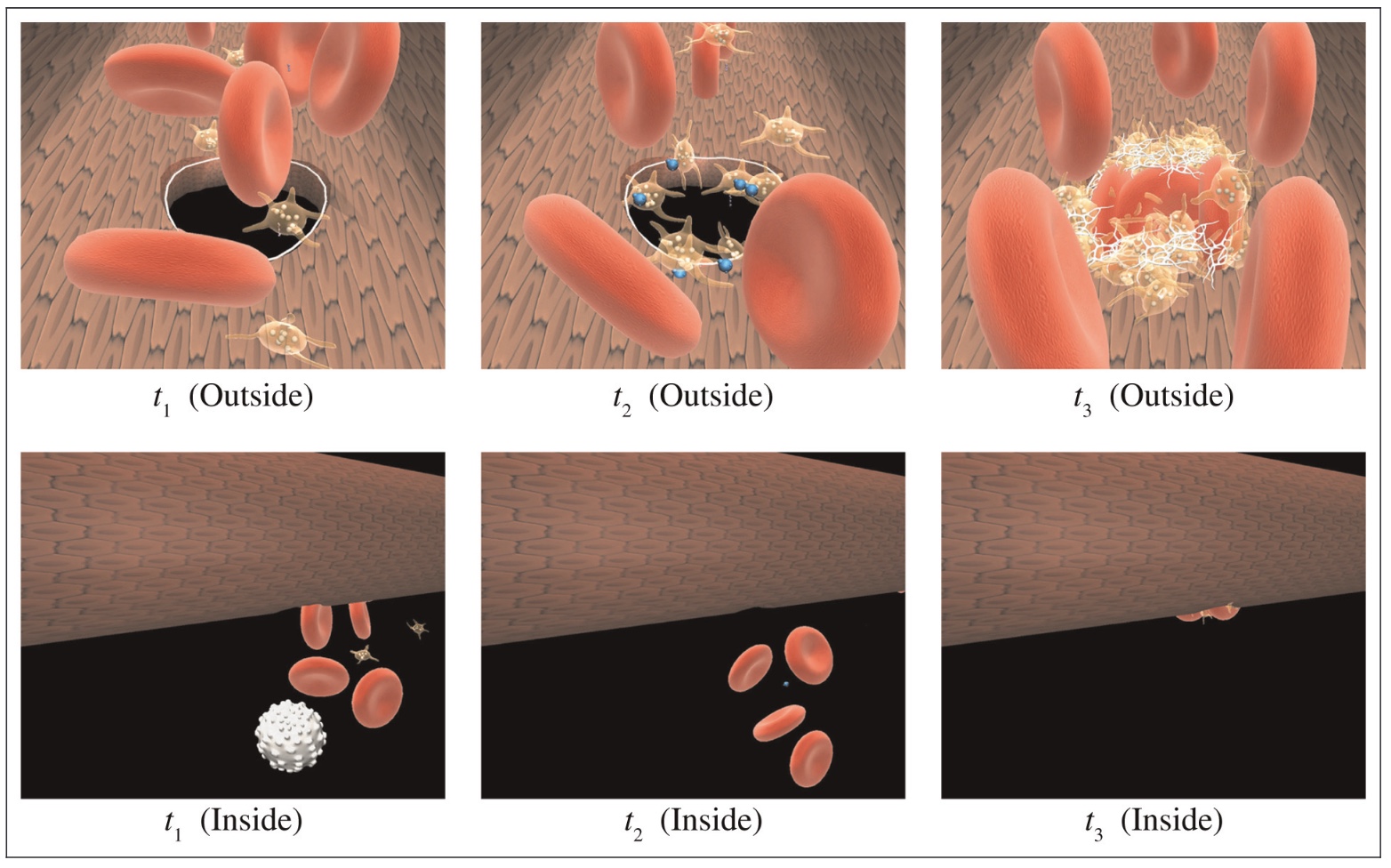 Abstraction of agent interaction processes: Towards large-scale multi-agent models