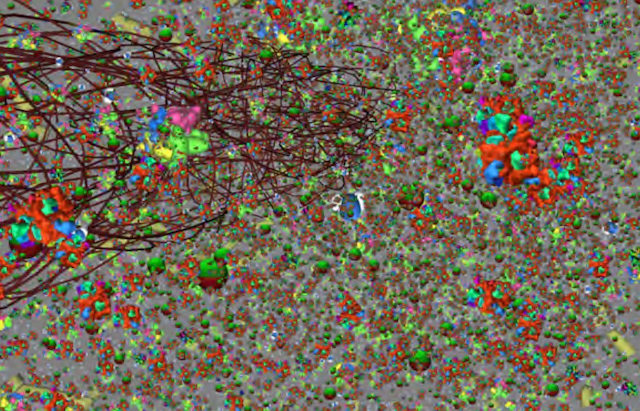 A 3D Multiscale Model of Chemotaxis in Bacteria