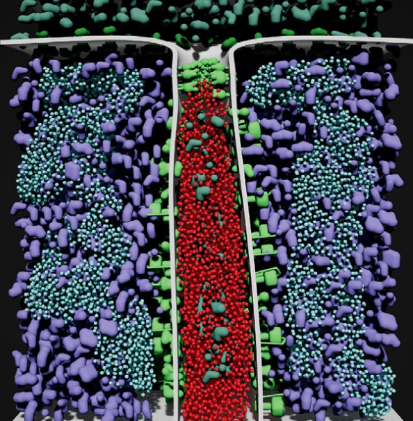 Lifebrush: painting, simulating, and visualizing dense biomolecular environments